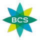 BCS